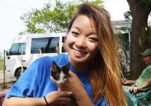 3monthold nica kitten